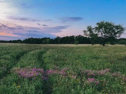 Guided Meditation To Tap Into Universal Intelligence