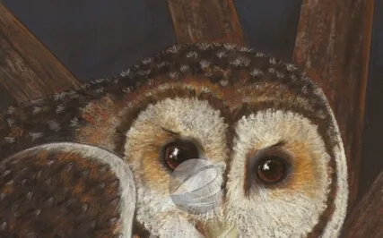 Guided Meditation To Trust Your Inner Knowing And Wisdom