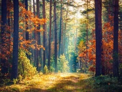 Visualize Your Best Self