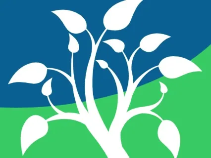 Using Sounds & Sensations