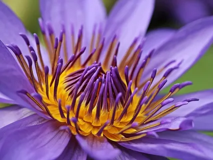 Guided Meditation with Breath Awareness & Mantra