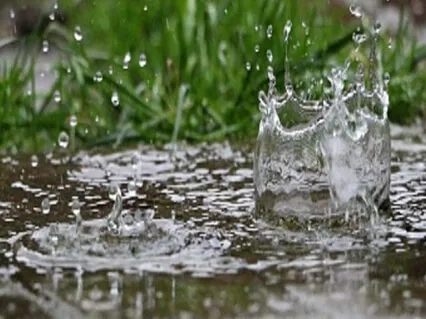 Guided Meditation With The RAIN Technique