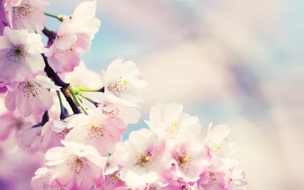 Guided Meditation With Ven. Pomnyun Sunim (Nov 1, 2020/S30)