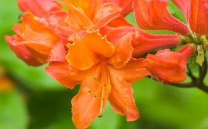 Guided Meditation With Ven. Pomnyun Sunim (Nov 29, 2020/S34) 