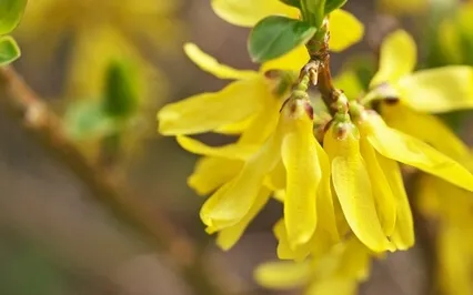 Guided Meditation With Ven. Pomnyun Sunim (Nov15, 2020/S32) 