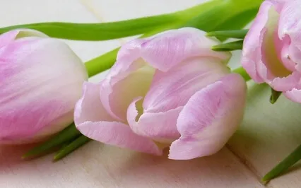 Guided Meditation With Ven. Pomnyun Sunim (Oct 11, 2020/S27)