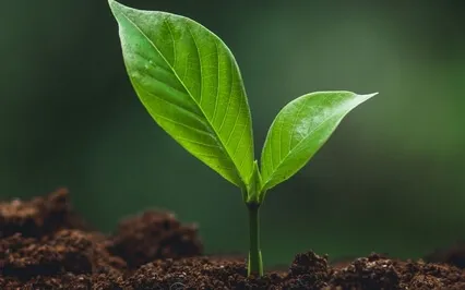 Guided Meditation With Ven. Pomnyun Sunim (Oct 18, 2020/S28)