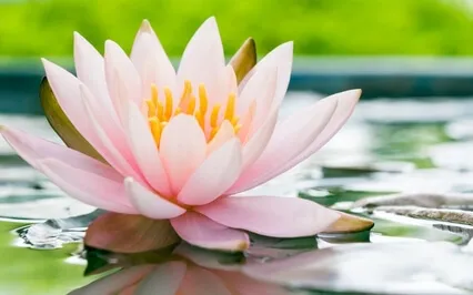 Guided Meditation With Ven. Pomnyun Sunim (Sep 27, 2020/S25)