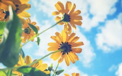 Guided Meditation With Ven. Pomnyun Sunim (Sep 6, 2020/S22)