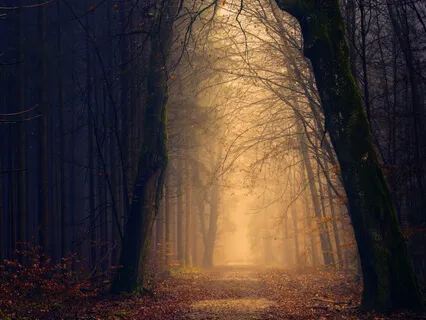 Guided Meditation 3: Yin Breathing