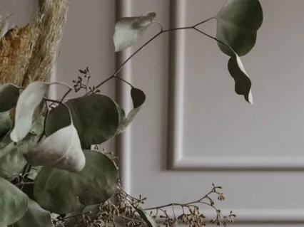 Guided Meditation: Your Life Is The Proof