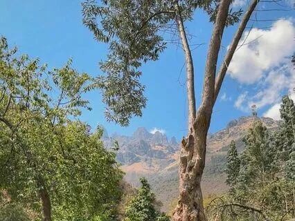 Meditation For Connecting With Your Intuition