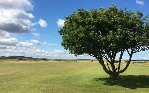 Guided Melty Relaxation To Boost Health & Improve Sleep