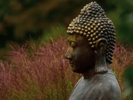 Guided Metta Meditation Using The 6Rs - From Self To Cosmos