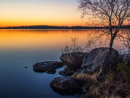 Guided Mindful Body Scan 