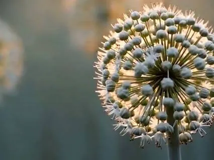 Guided Mindful Feeling Exercise