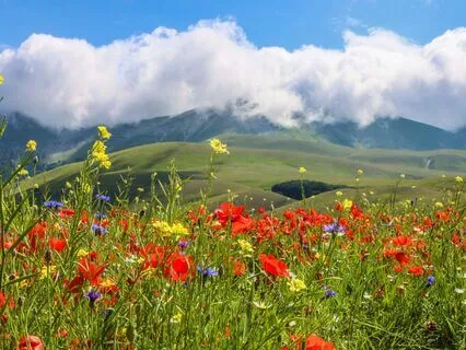 Guided Mindfulness | Self-Compassion Break (5 Min)