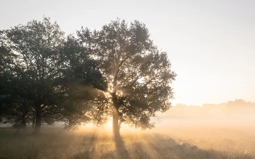 Guided Morning Affirmations To Kickstart Your Day