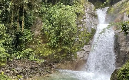 Guided Morning Meditation