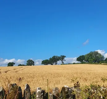 Guided Morning Meditation 