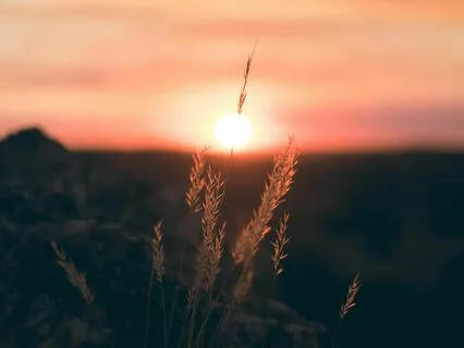 Morning Visualization Meditation