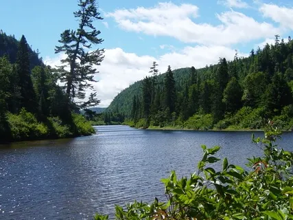 Guided Nature Meditation