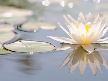 Guided Paramatma Practice