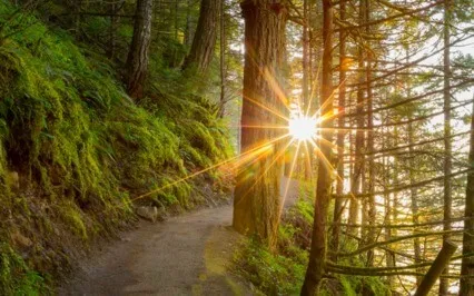 Guided Peace Meditation With Relaxation Practice