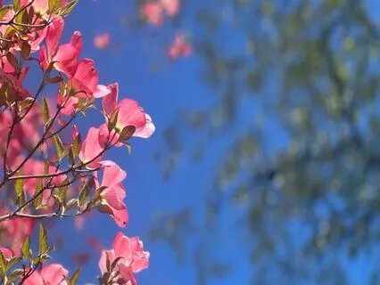 Body Scan On Hypertonic Pelvic Floor