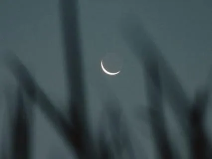 Guided Practice - Calling Energy Back Within Self