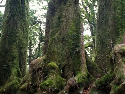 Guided Practice - Diving Into The Layers