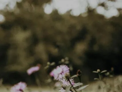 Guided Practice - Finding Purpose Through Care