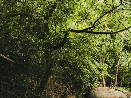 Guided Practice For Grounding