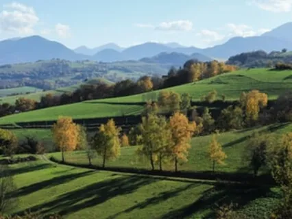 Guided Practice For Reducing Anxiety