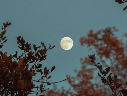 Guided Practice - Meeting Life With An Open Heart