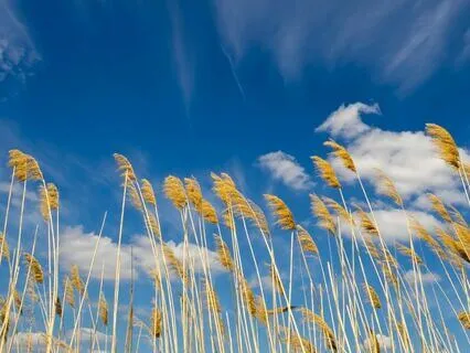 Guided Prayer For Financial Miracles