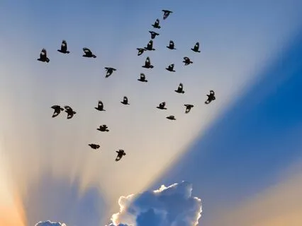 Guided Prayer For Overcoming Worry And Fear