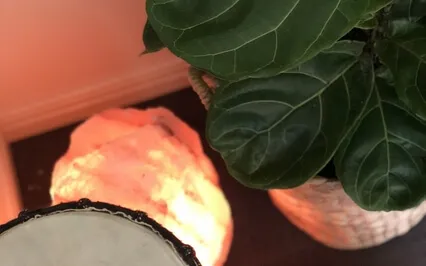 Guided Progressive Muscle Relaxation For Anxiety And Stress