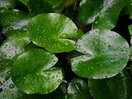 Guided RAIN Practice