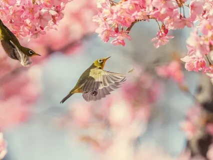 Guided Reiki Self-Healing