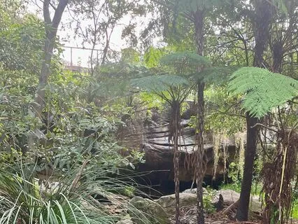 Guided Relaxation For Deep Rest And Sleep