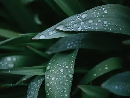 Guided Relaxation For Groundedness