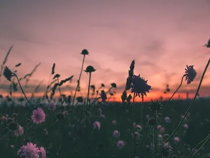 Guided Relaxation for Stress Relief