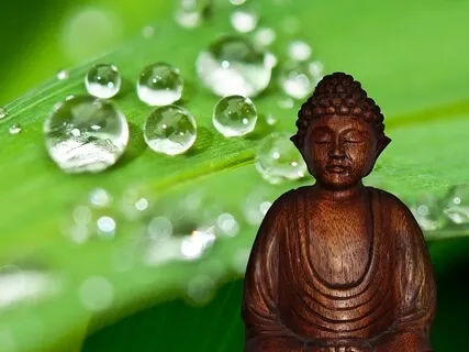 Guided Relaxation Practice