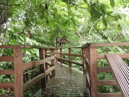 Guided Relaxation Practice