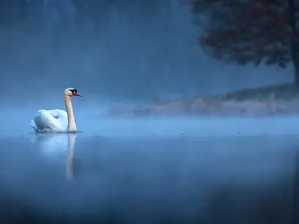 Guided Relaxation (Savasana) - Presencing Each Side Of Body