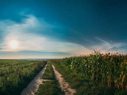 Guided Relaxation For Sleep