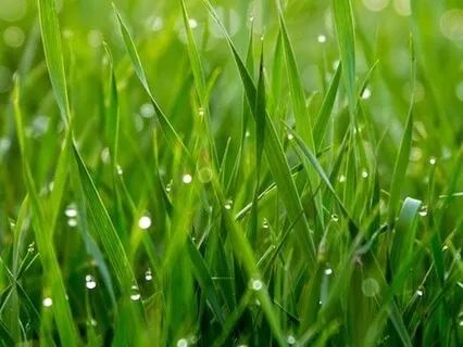 Guided Relaxation Using Music Therapy With Anthony Hall