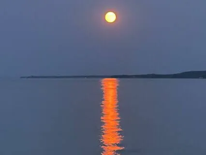 Guided Relaxation With Gentle Music