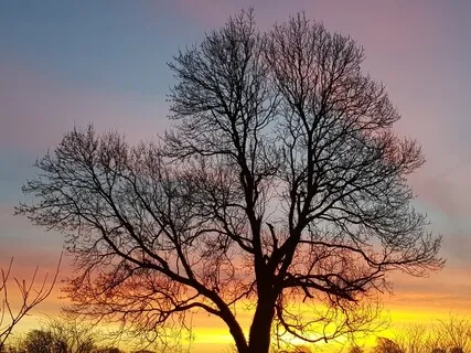 Guided Relaxation With Sound Bowl Chant To Deeply Relax